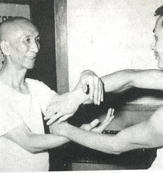 Wing Chun Chi Sau