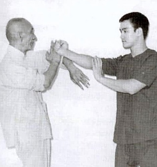 Wing Chun Chi Sau