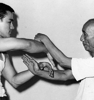 Wing Chun Chi Sau