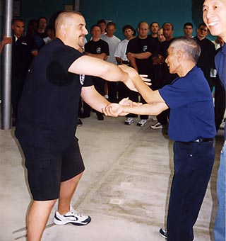 Wing Chun Chi Sau